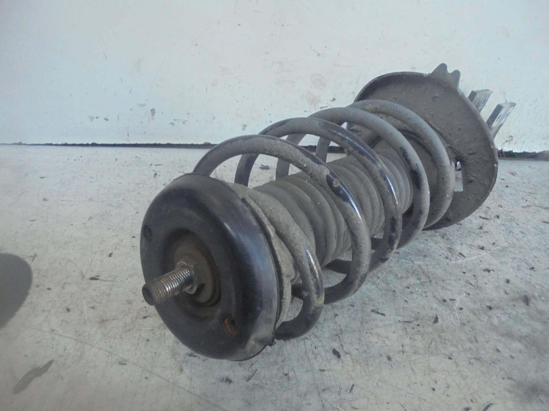 Ammortizzatore ant. sx.